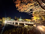 国営昭和記念公園 秋の夜散歩に投稿された画像（2024/11/11）