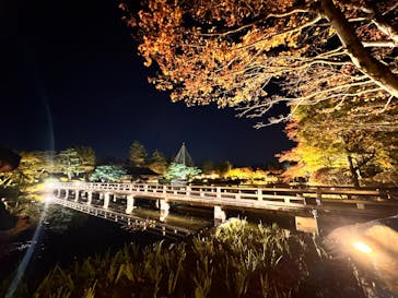 国営昭和記念公園 秋の夜散歩に投稿された画像（2024/11/11）