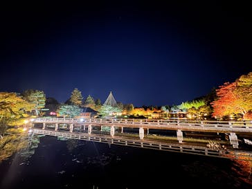 国営昭和記念公園 秋の夜散歩に投稿された画像（2024/11/11）