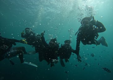 武藤潜水に投稿された画像（2024/11/11）