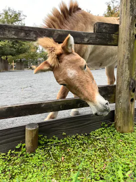 多摩動物公園に投稿された画像（2024/11/11）