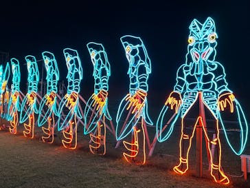 鹿児島イルミナージュに投稿された画像（2024/11/11）