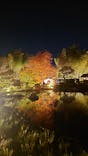 国営昭和記念公園 秋の夜散歩に投稿された画像（2024/11/11）