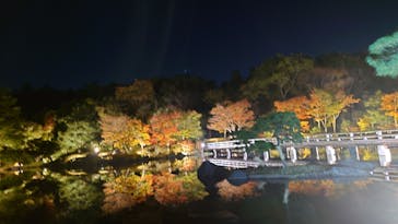 国営昭和記念公園 秋の夜散歩に投稿された画像（2024/11/11）