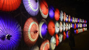 国営昭和記念公園 秋の夜散歩に投稿された画像（2024/11/11）