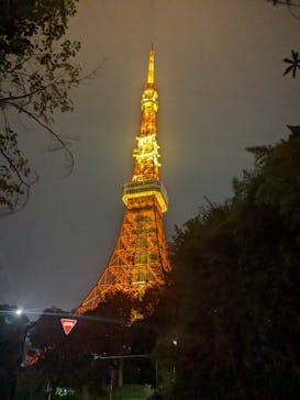 東京タワーに投稿された画像（2024/11/11）