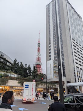 東京タワーに投稿された画像（2024/11/11）
