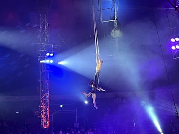 ハッピードリームサーカス湘南・平塚公演に投稿された画像（2024/11/11）