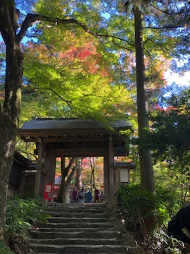 有馬温泉 太閤の湯に投稿された画像（2024/11/11）