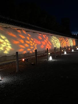 NAKED meets 二条城 2025 観月に投稿された画像（2024/11/11）