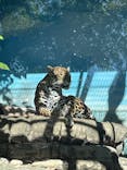 天王寺動物園に投稿された画像（2024/11/12）