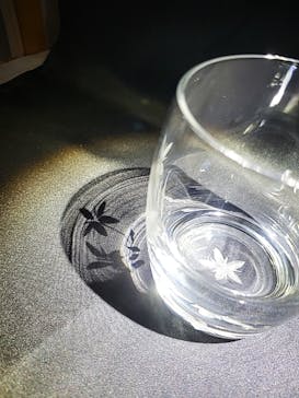 創吉に投稿された画像（2024/11/11）