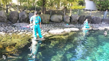 箱根園水族館に投稿された画像（2024/11/12）