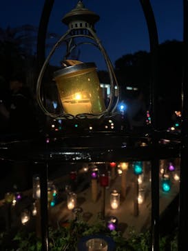 江の島シーキャンドルに投稿された画像（2024/11/12）