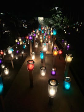 江の島シーキャンドルに投稿された画像（2024/11/12）