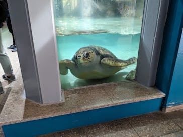 伊豆・三津シーパラダイスに投稿された画像（2024/11/12）