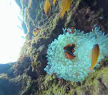 武藤潜水に投稿された画像（2024/11/12）