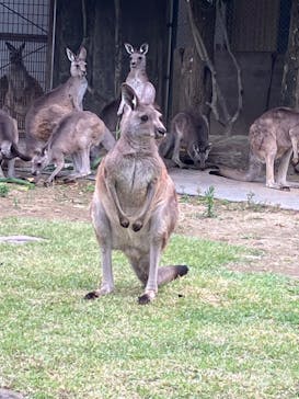 横浜市立金沢動物園に投稿された画像（2024/11/12）