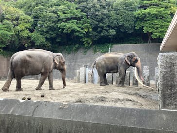 横浜市立金沢動物園に投稿された画像（2024/11/12）