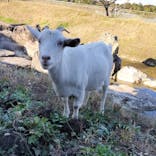 熊谷天然温泉　花湯スパリゾートに投稿された画像（2024/11/12）