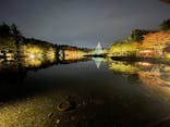 国営昭和記念公園 秋の夜散歩に投稿された画像（2024/11/12）