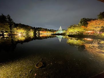 国営昭和記念公園 秋の夜散歩に投稿された画像（2024/11/12）