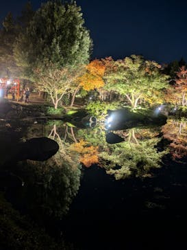 国営昭和記念公園 秋の夜散歩に投稿された画像（2024/11/12）