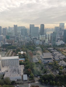東京タワーに投稿された画像（2024/11/12）
