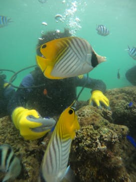 武藤潜水に投稿された画像（2024/11/12）