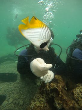 武藤潜水に投稿された画像（2024/11/12）