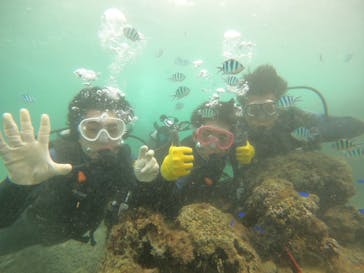 武藤潜水に投稿された画像（2024/11/12）