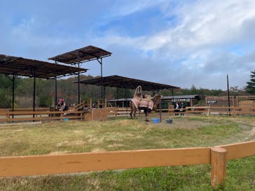 那須どうぶつ王国に投稿された画像（2024/11/12）