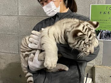 伊豆アニマルキングダムに投稿された画像（2024/11/12）