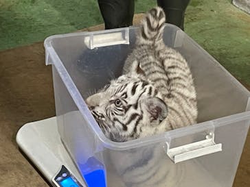 伊豆アニマルキングダムに投稿された画像（2024/11/12）