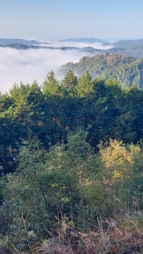 備北タクシー高梁営業所に投稿された画像（2024/11/12）