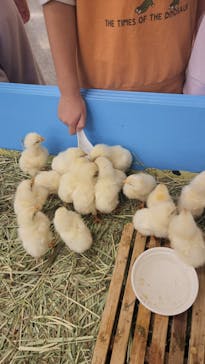 東京あそびマーレに投稿された画像（2024/11/12）