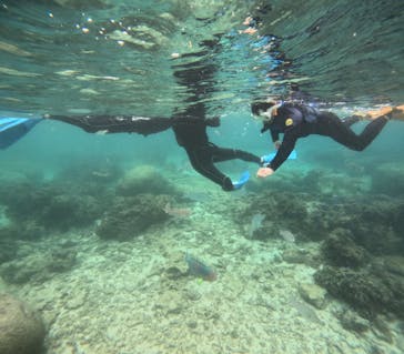 沖縄マリンサービス碧に投稿された画像（2024/11/12）