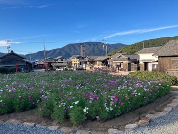 二十四の瞳映画村に投稿された画像（2024/11/12）