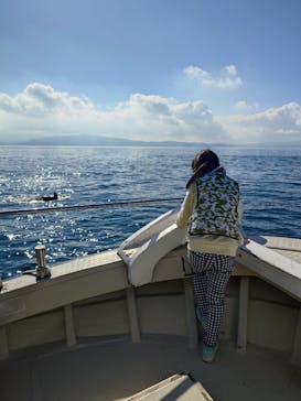 イルカウォッチング受付予約センターに投稿された画像（2024/11/12）