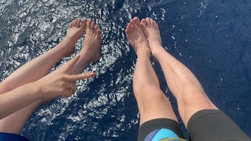 Sea World（シーワールド）に投稿された画像（2024/11/12）