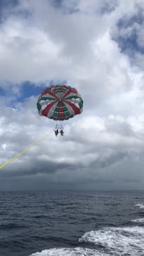 Sea World（シーワールド）に投稿された画像（2024/11/12）