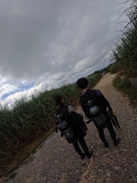 武藤潜水に投稿された画像（2024/11/12）