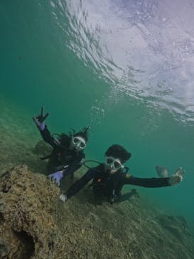 武藤潜水に投稿された画像（2024/11/12）