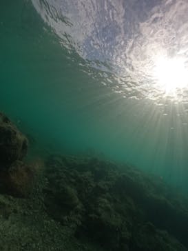 武藤潜水に投稿された画像（2024/11/12）