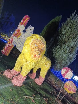 東武動物公園に投稿された画像（2024/11/12）