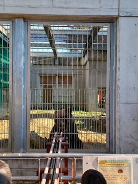 東武動物公園に投稿された画像（2024/11/12）