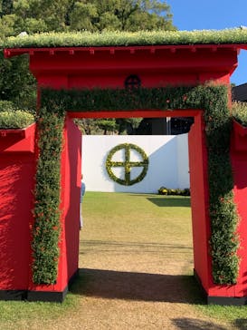 仙巌園に投稿された画像（2024/11/12）