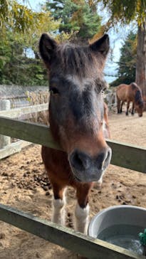 神戸市立六甲山牧場に投稿された画像（2024/11/12）