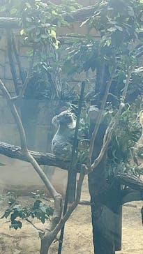 名古屋市東山動植物園に投稿された画像（2024/11/12）