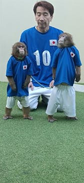 おさるランド＆アニタウン　日光さる軍団劇場に投稿された画像（2024/11/12）